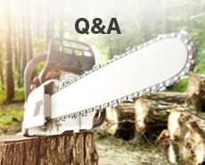 Q&A